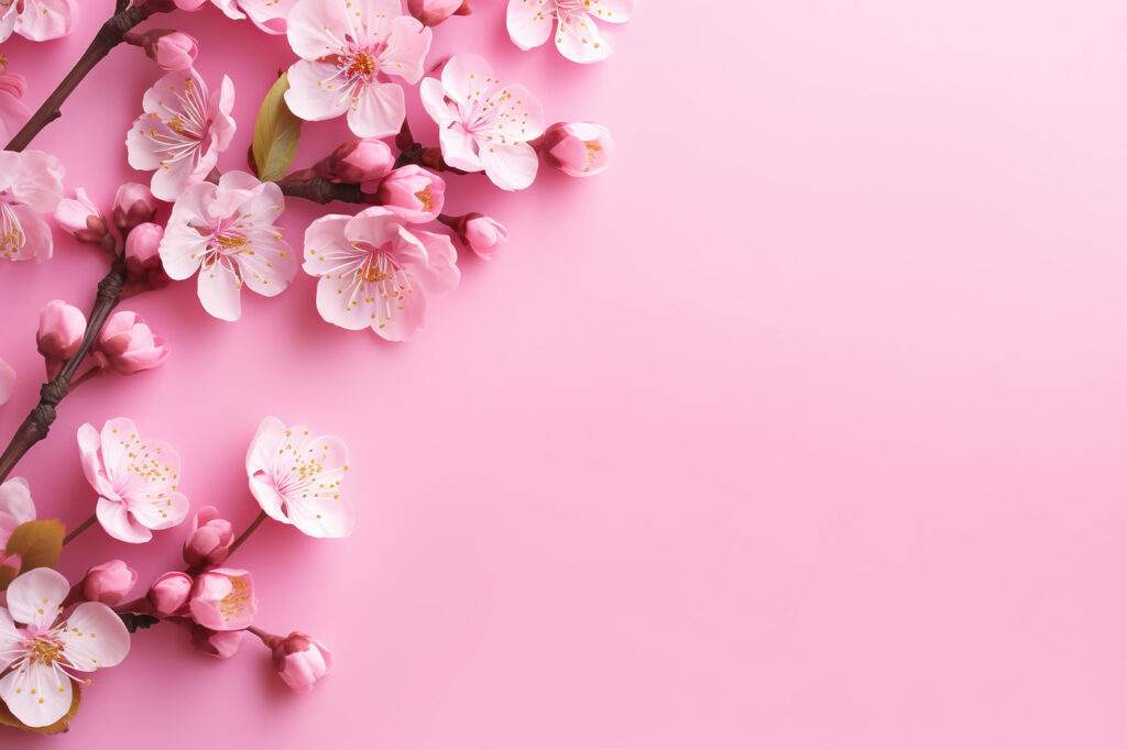 Blossom Frame — full design