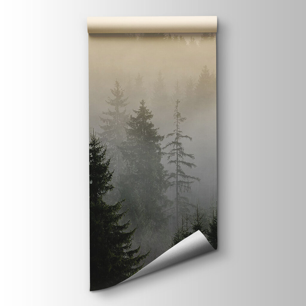 Forest at Dawn — product view