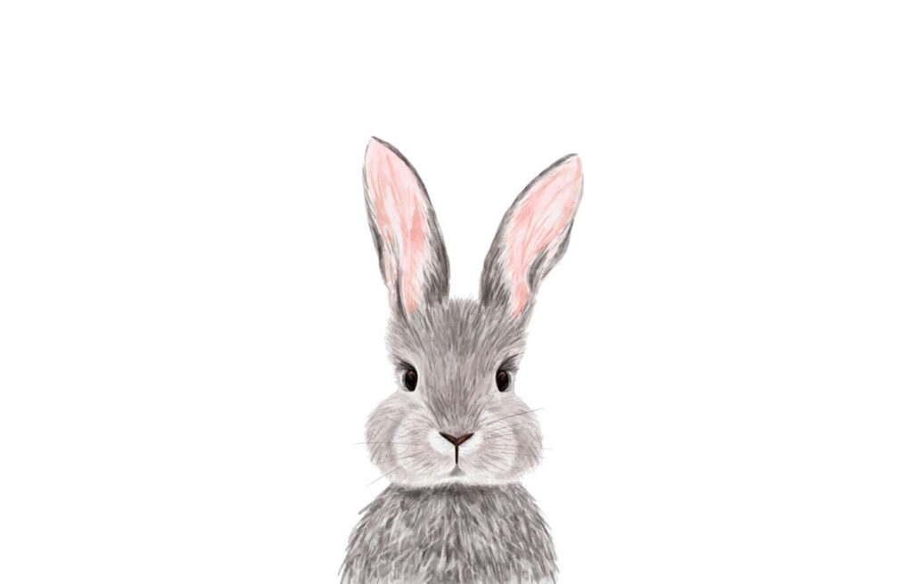 Bunny with pink ears — full design