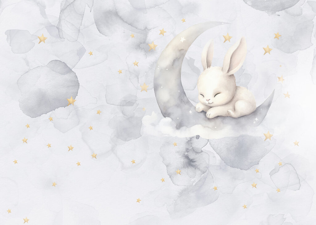 Bunny on the Moon — full design