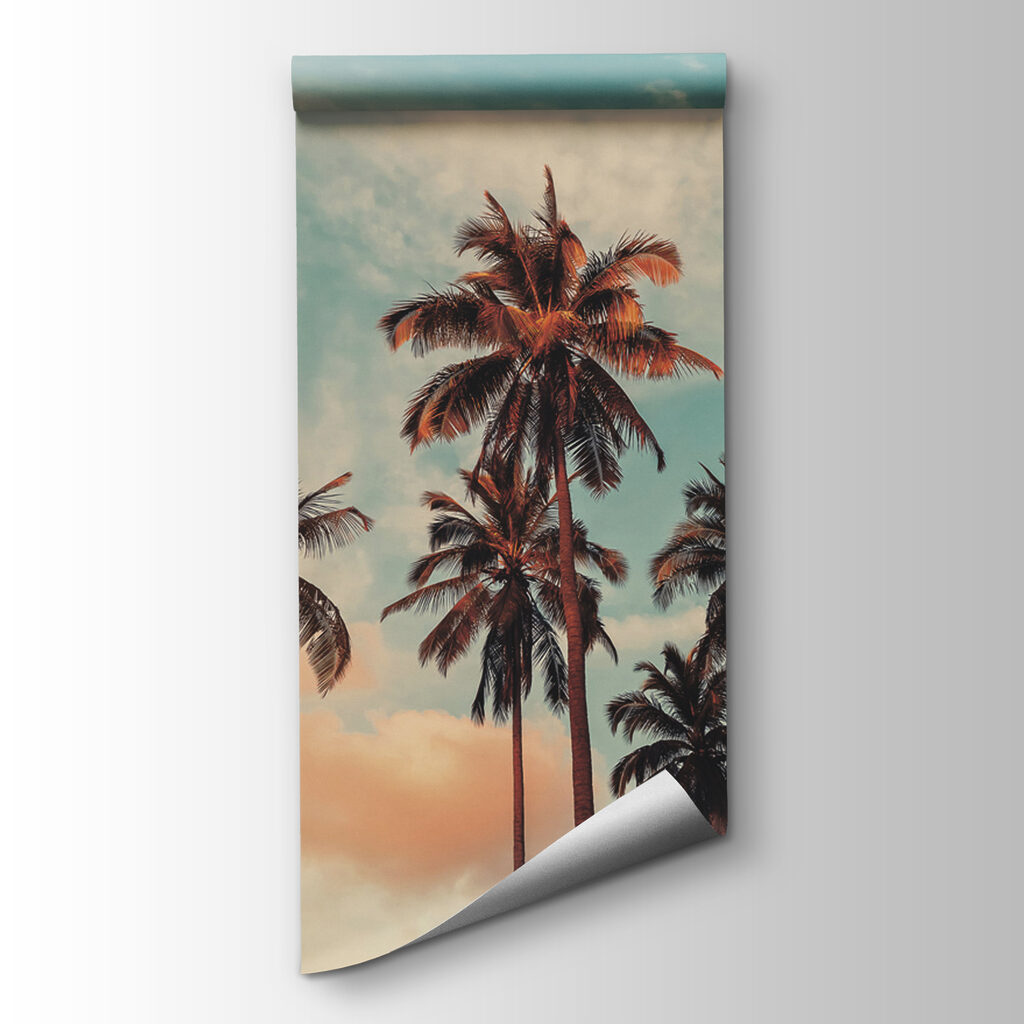 Palms against evening sky — product view
