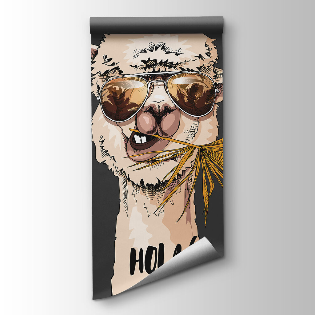 Llama in Shades — product view