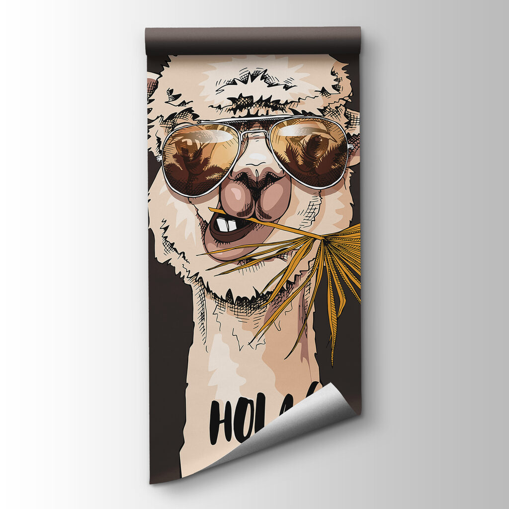 Llama in Shades — product view