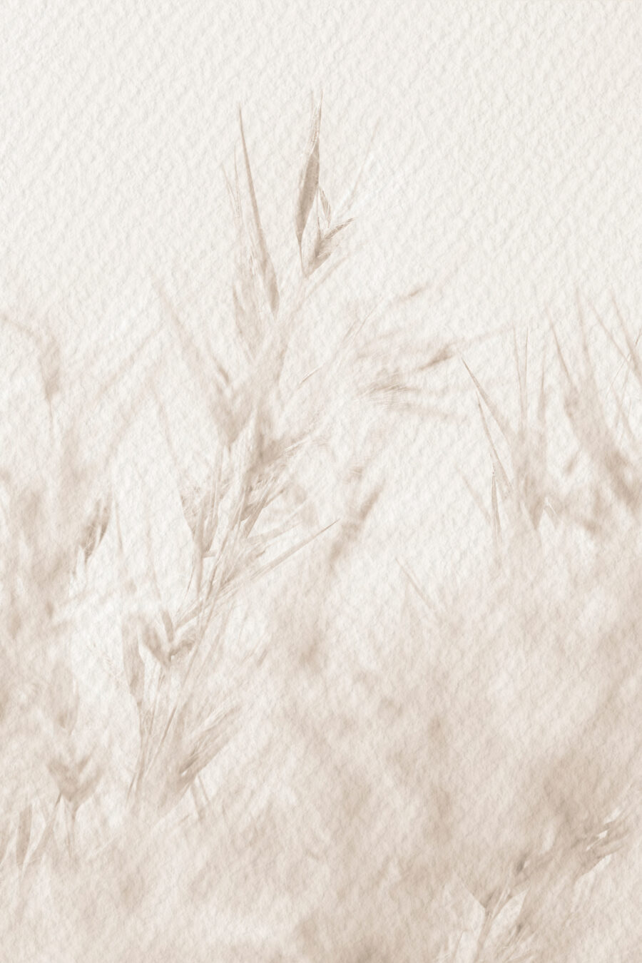 Pale grass stems — full design