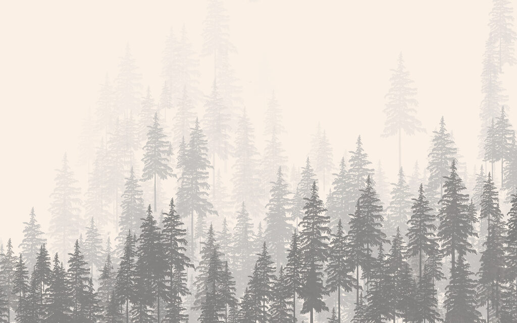 Pale pine forest — full design
