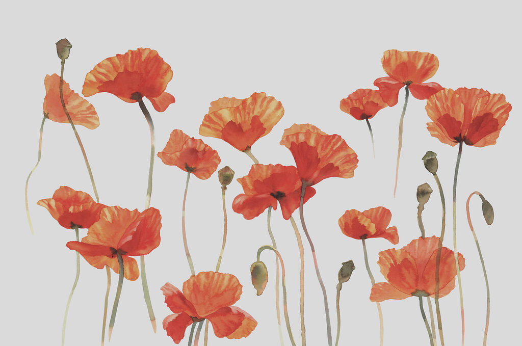 Poppies Standing Tall — full design