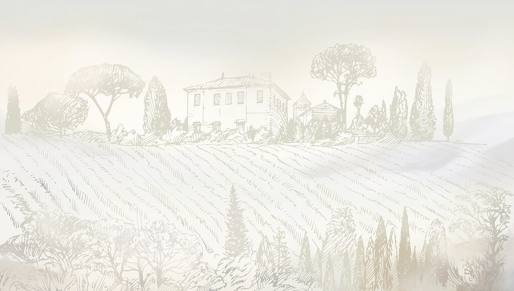 Villa above a vineyard — full design