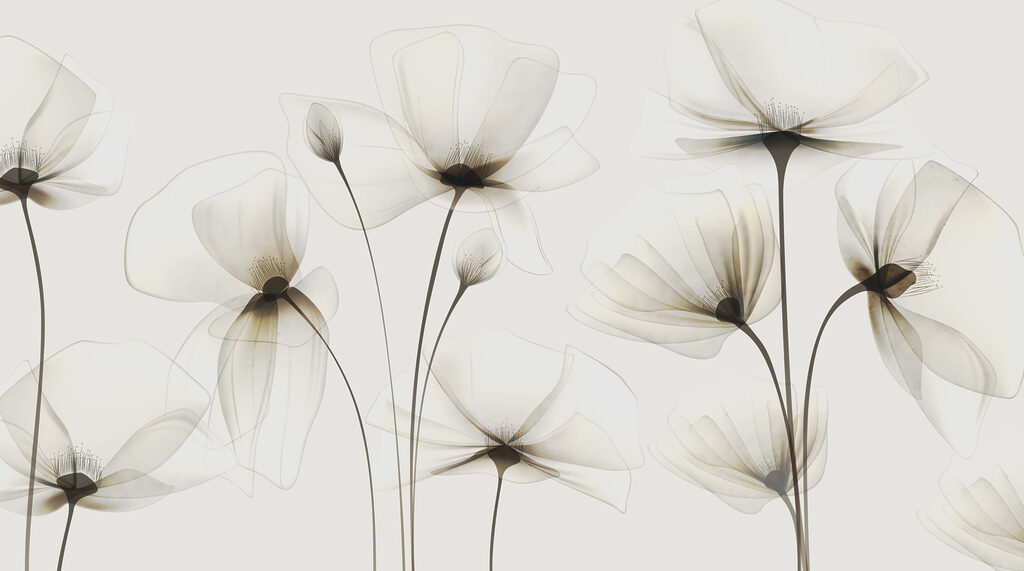 Petal Silhouettes — full design