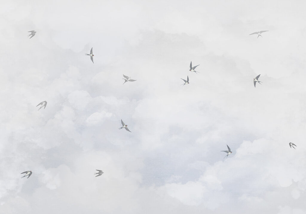 Birds through soft clouds — full design
