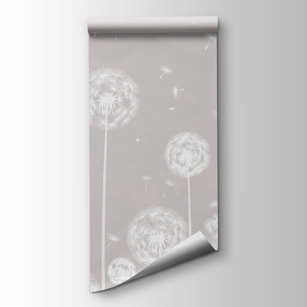 White dandelion clocks — product view