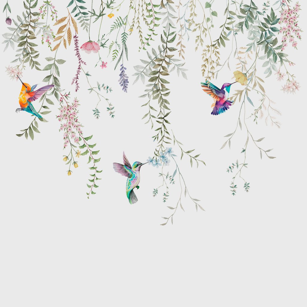 Birdsong Canopy — full design