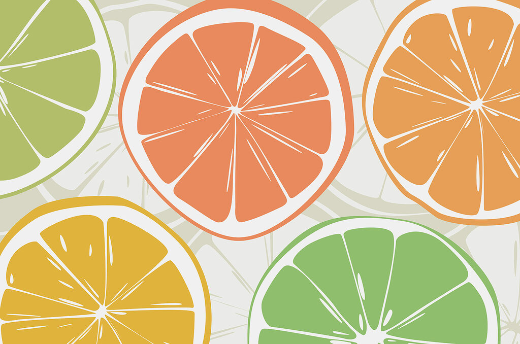 Cheerful citrus slices — full design