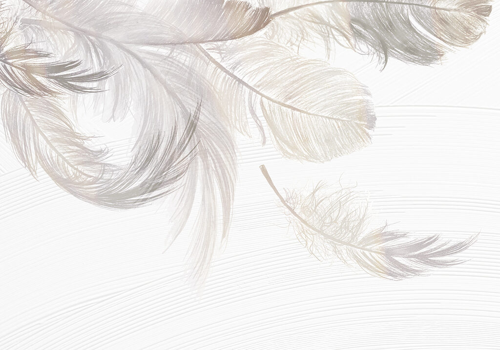 Feathers Overhead — full design