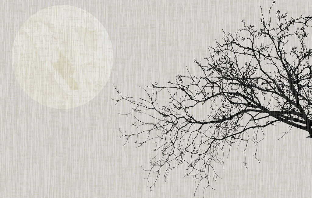 Moon and Bare Branches — full design