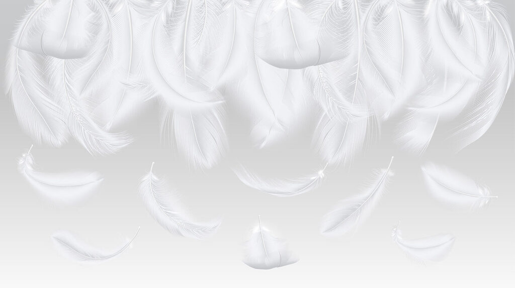 Floating white feathers — full design