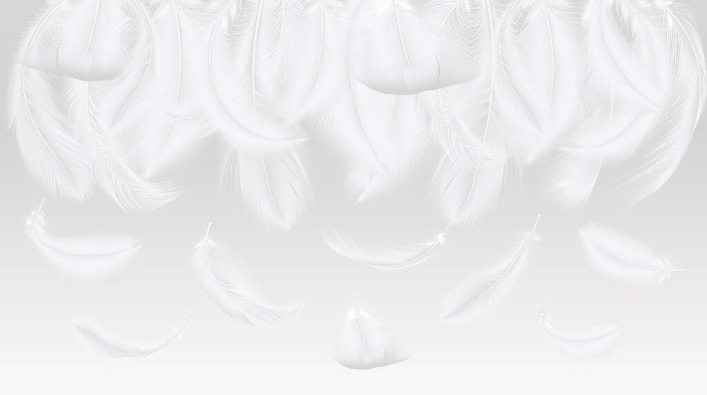 Feathers Falling Softly — full design