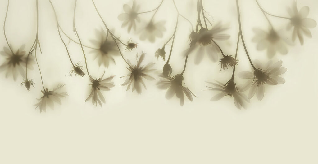 Flowers Hanging Gently — full design