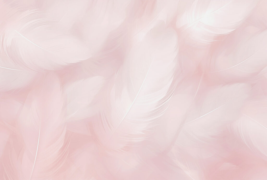 White feathers on pink — full design
