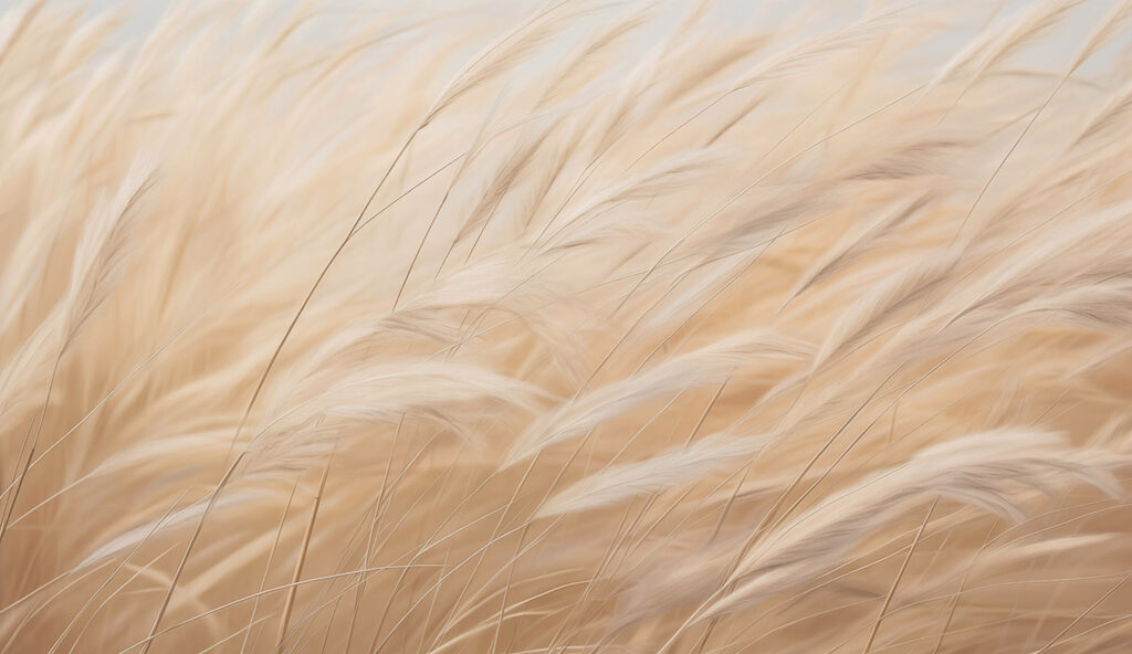 Windswept grasses — full design