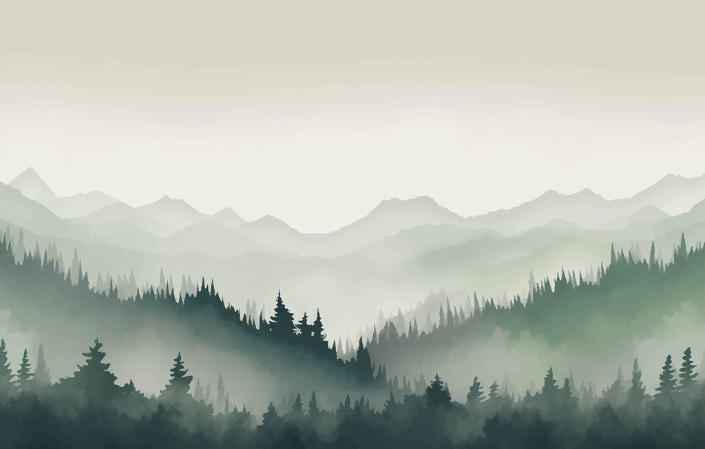 Pine forest in mist — full design