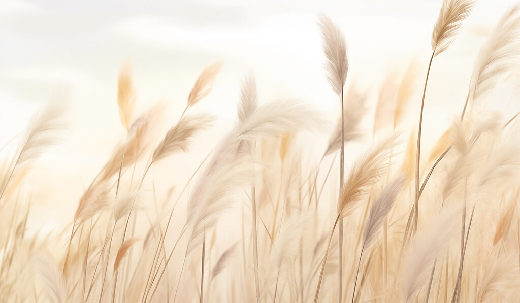 Golden plume grass — full design