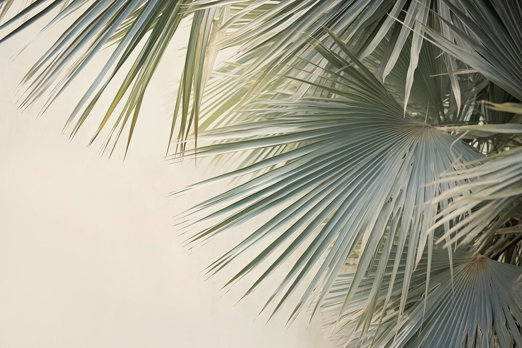 Palm Frond Shade — full design