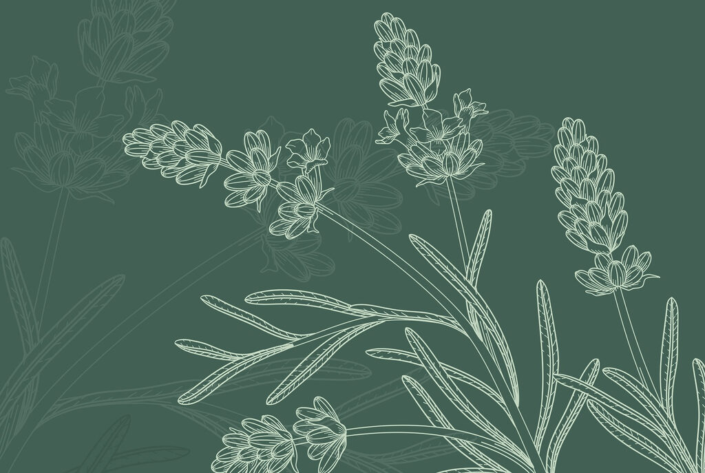 Botanical Chalk Study — full design