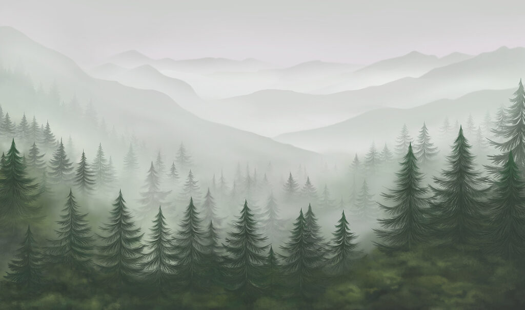 Pines fading into grey — full design