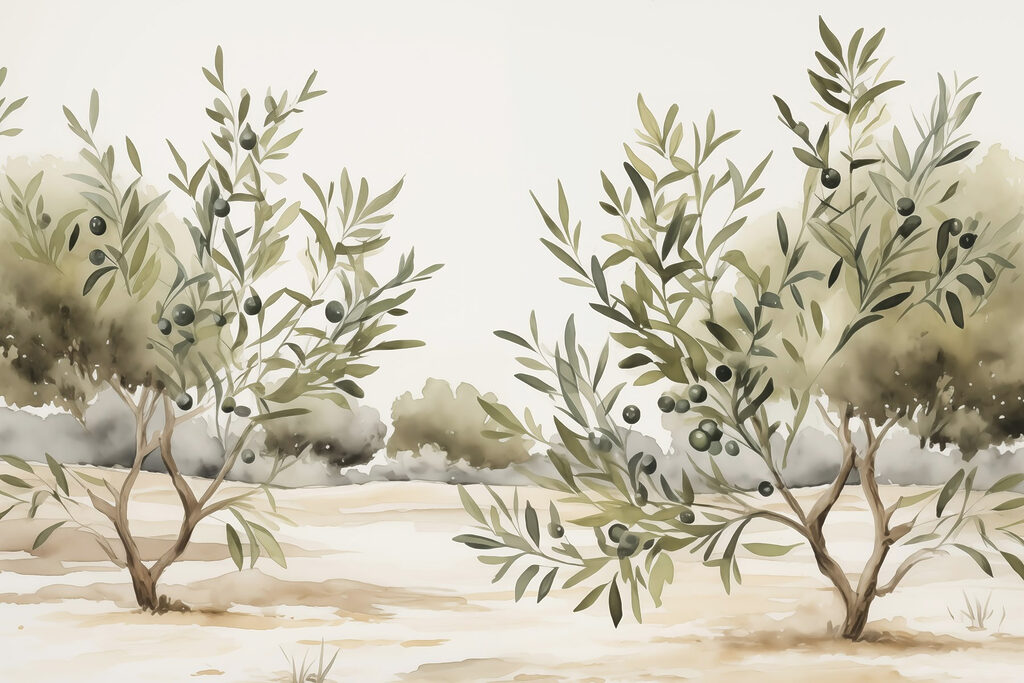 Olive Grove — full design