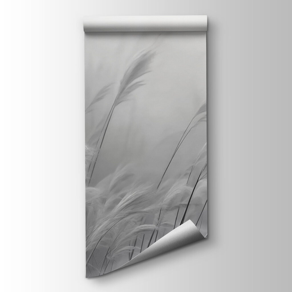 Reeds in Soft Focus — product view