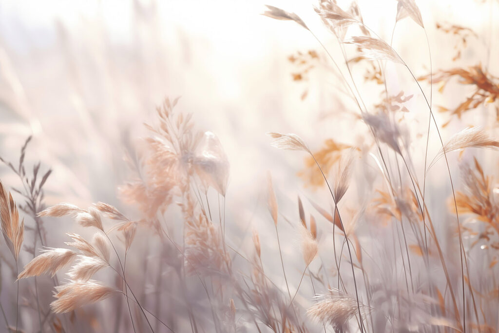 Sunlit Meadow Grasses — full design
