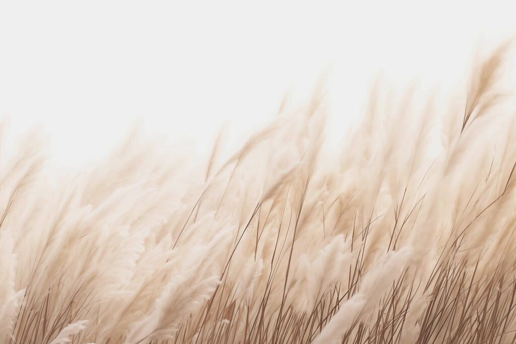 Grass stalks bending — full design