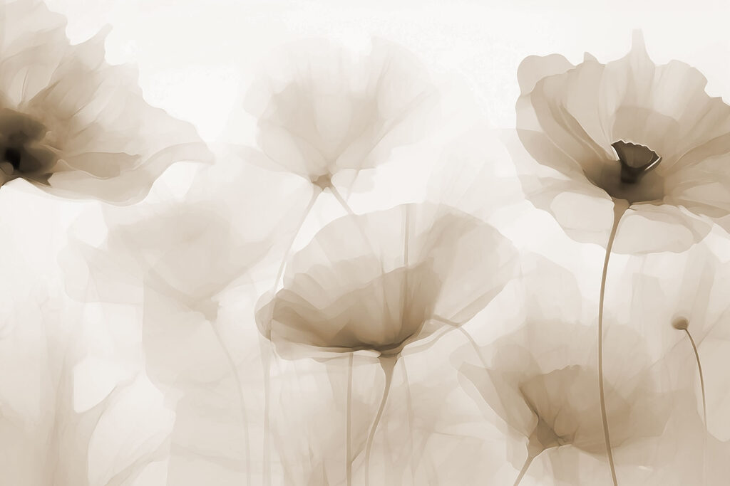 Beige flowers, dark hearts — full design