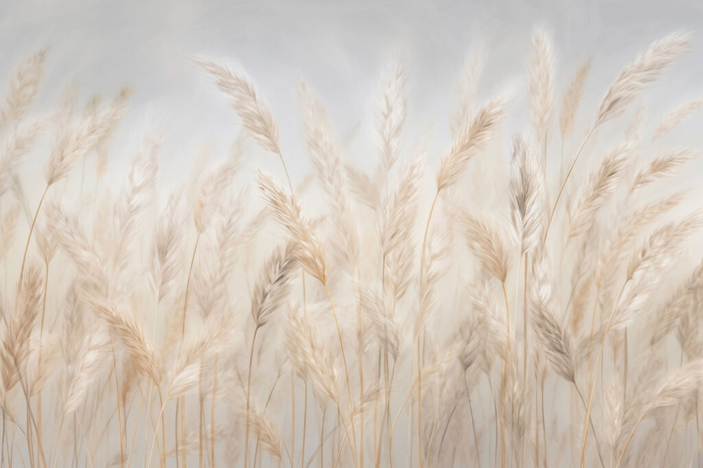 Pampas Daylight — full design
