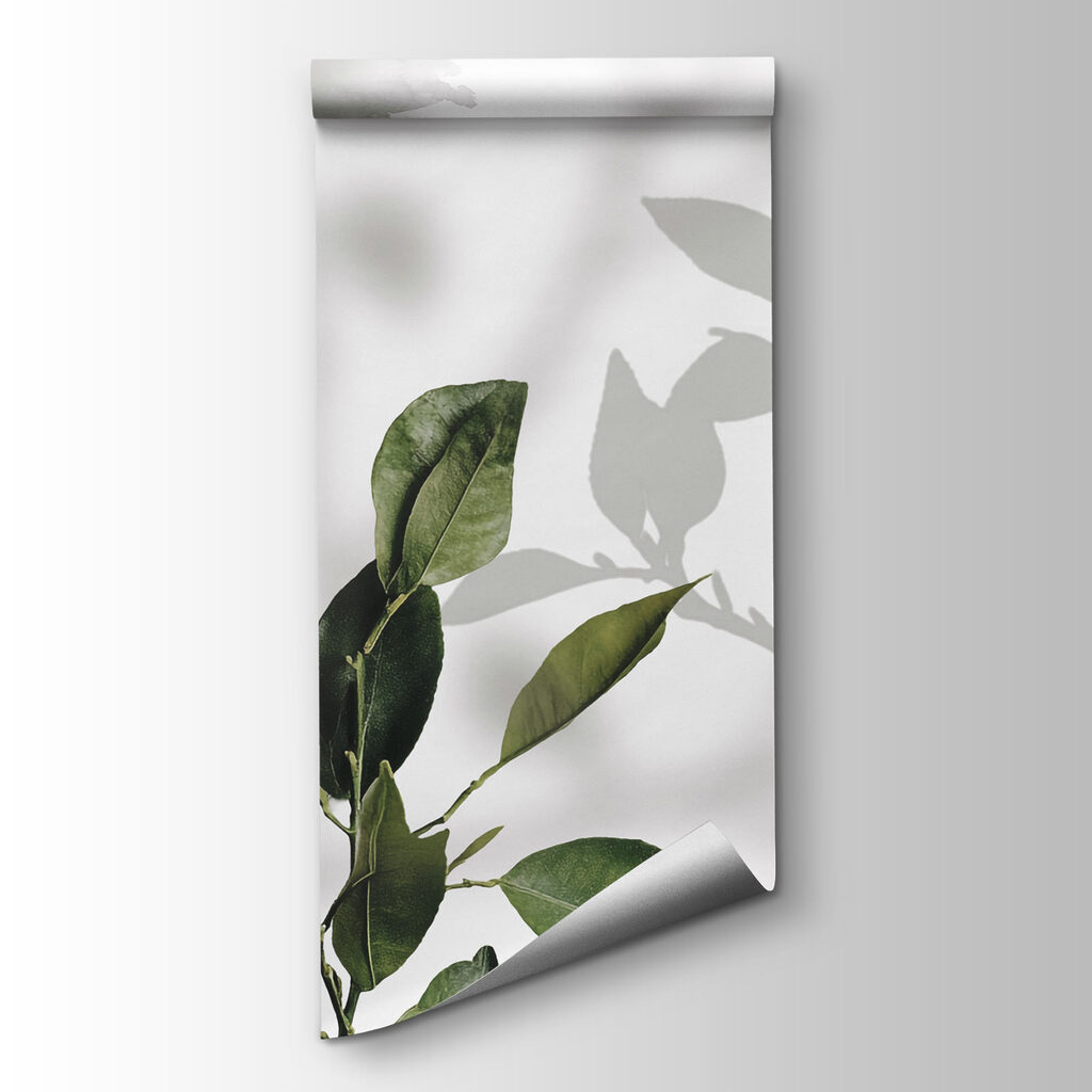 Leaves on Painted Plaster — product view