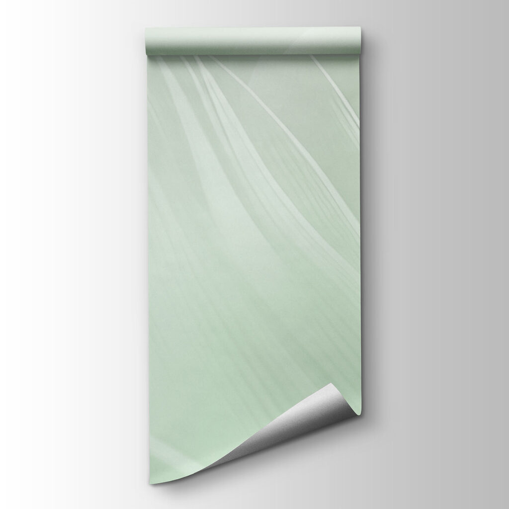 Feather Softness — product view