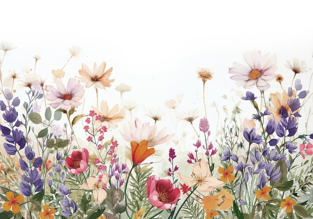 Meadow Flower Border — full design