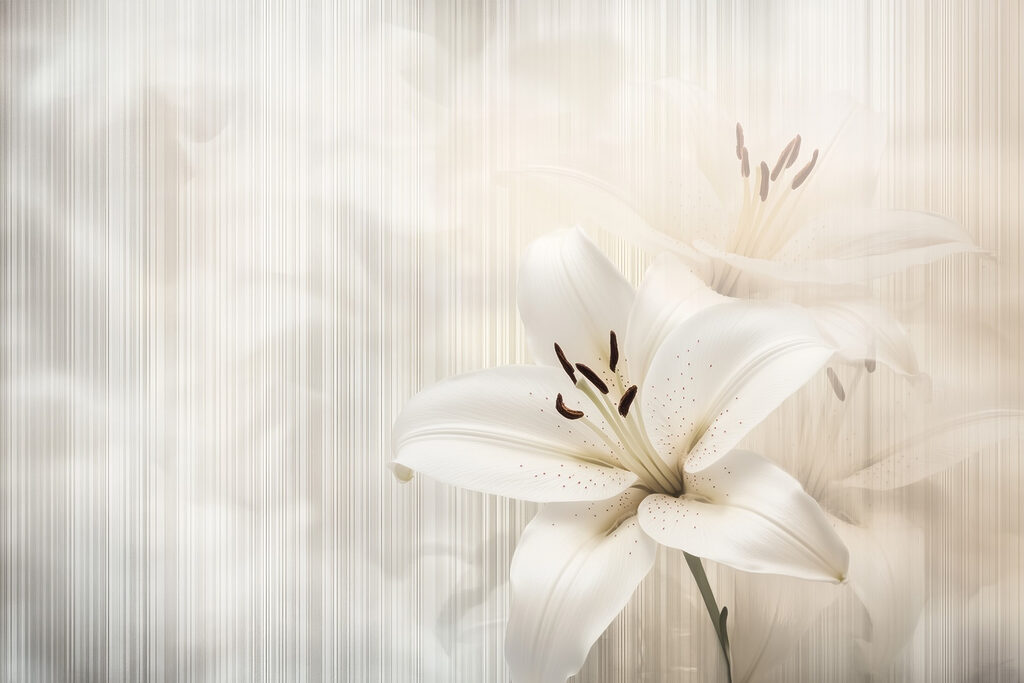 Lily Light — full design
